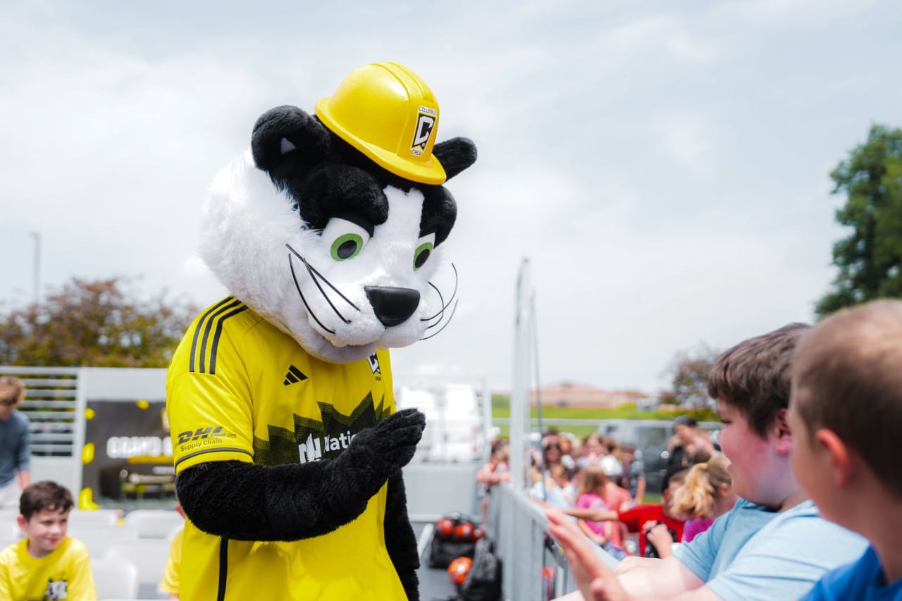 Minford Mini Pitch 3